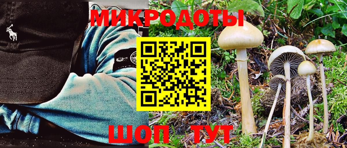 Галлюциногенные грибы Cubensis Шатура
