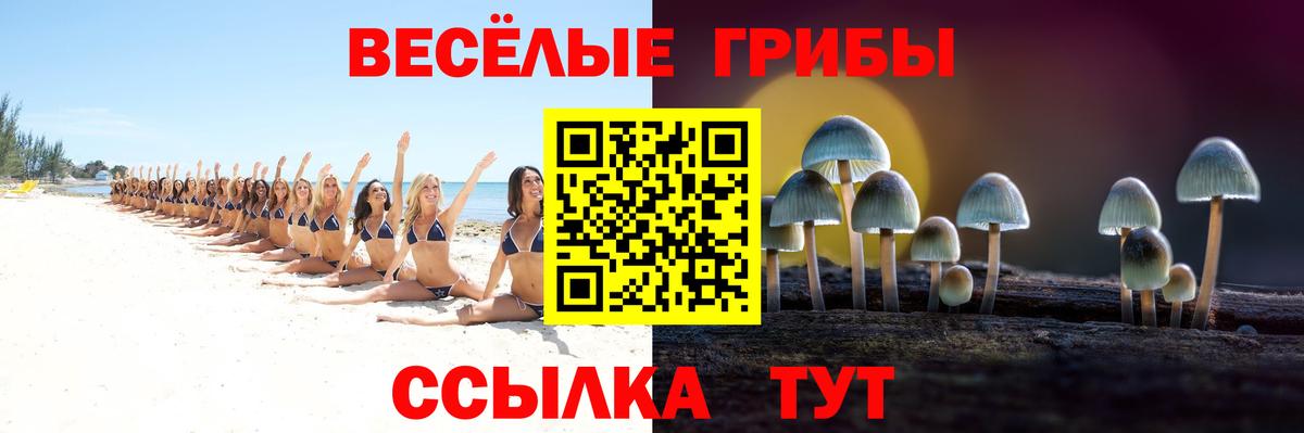 Галлюциногенные грибы ЛСД  Вход с VPN  Шатура 