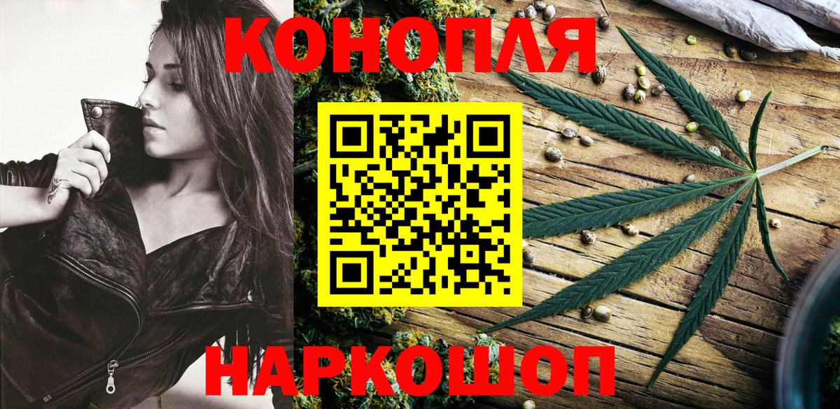 Канабис сатива Шатура